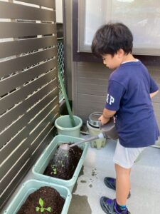 プランターに水やりをして大根を育てる子どもたち