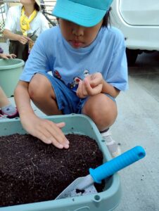 大根の種をまいている写真