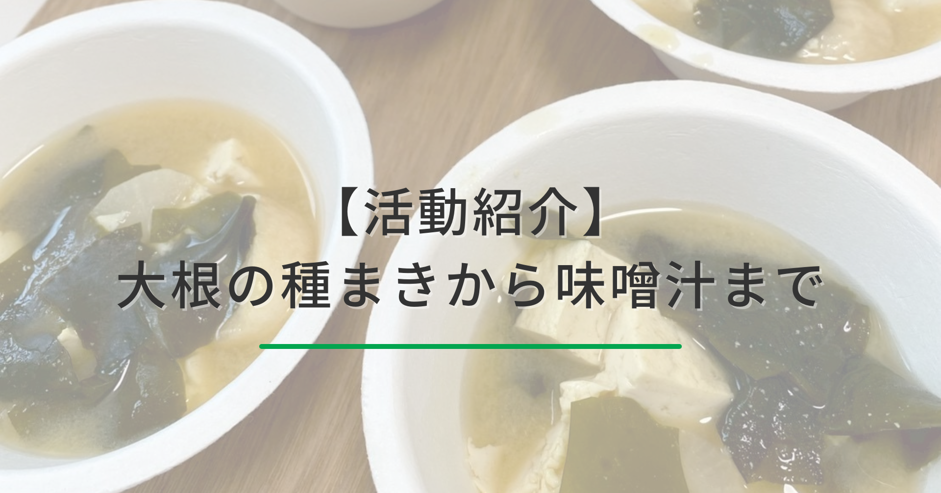 大根と豆腐とわかめの味噌汁